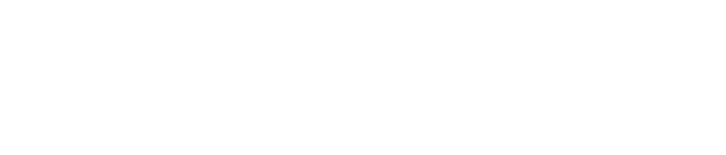 Bamboo Medical logo
